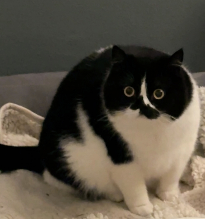      ,  , , , ,  , , , , , 
