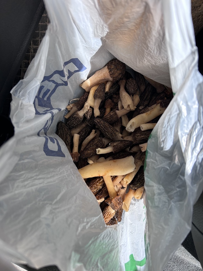 Пакет - у меня.