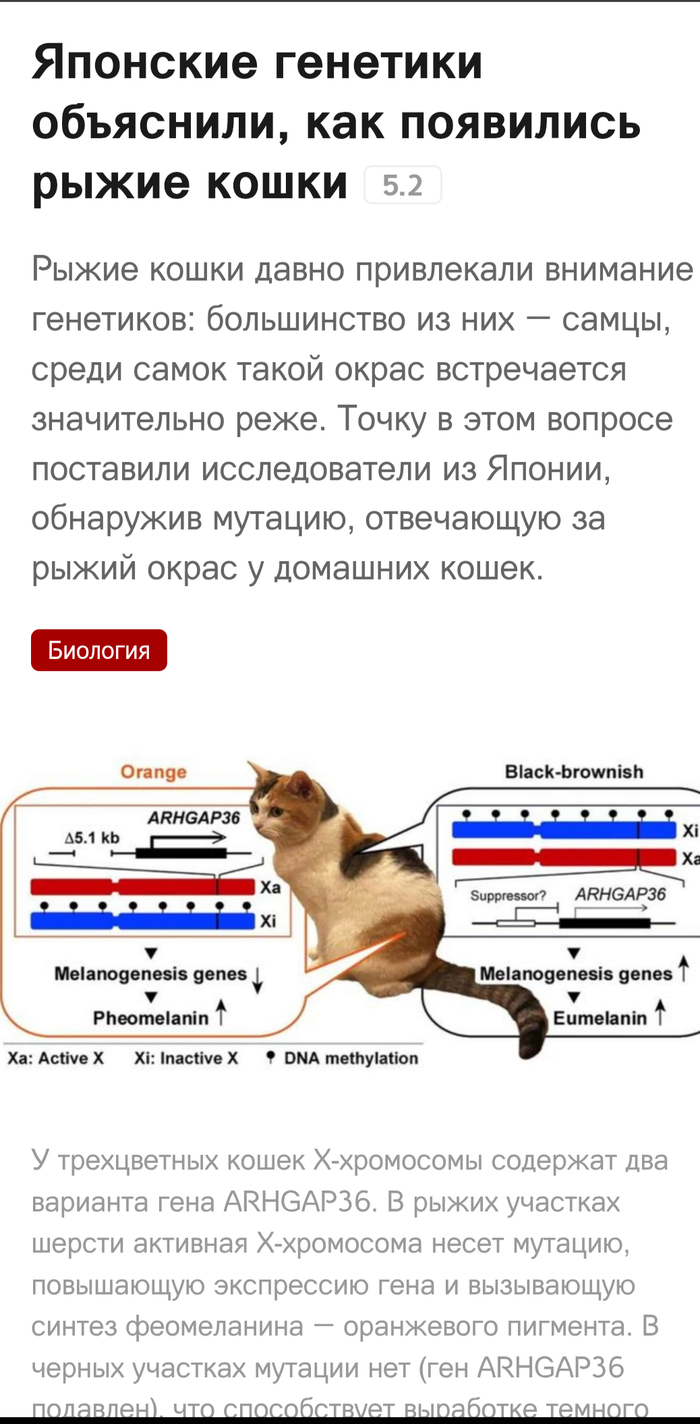  ,   ,  ,  