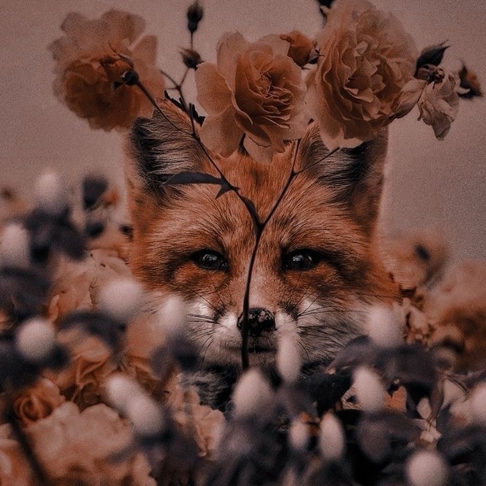 ���� � �������� ����� �������, ���������� � ������ ���������