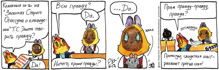 Котейкины Новости от 17.05.2025