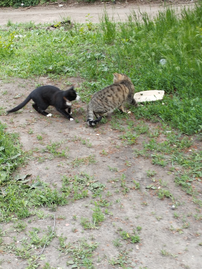   , , , , 
