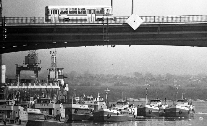   1977 .  