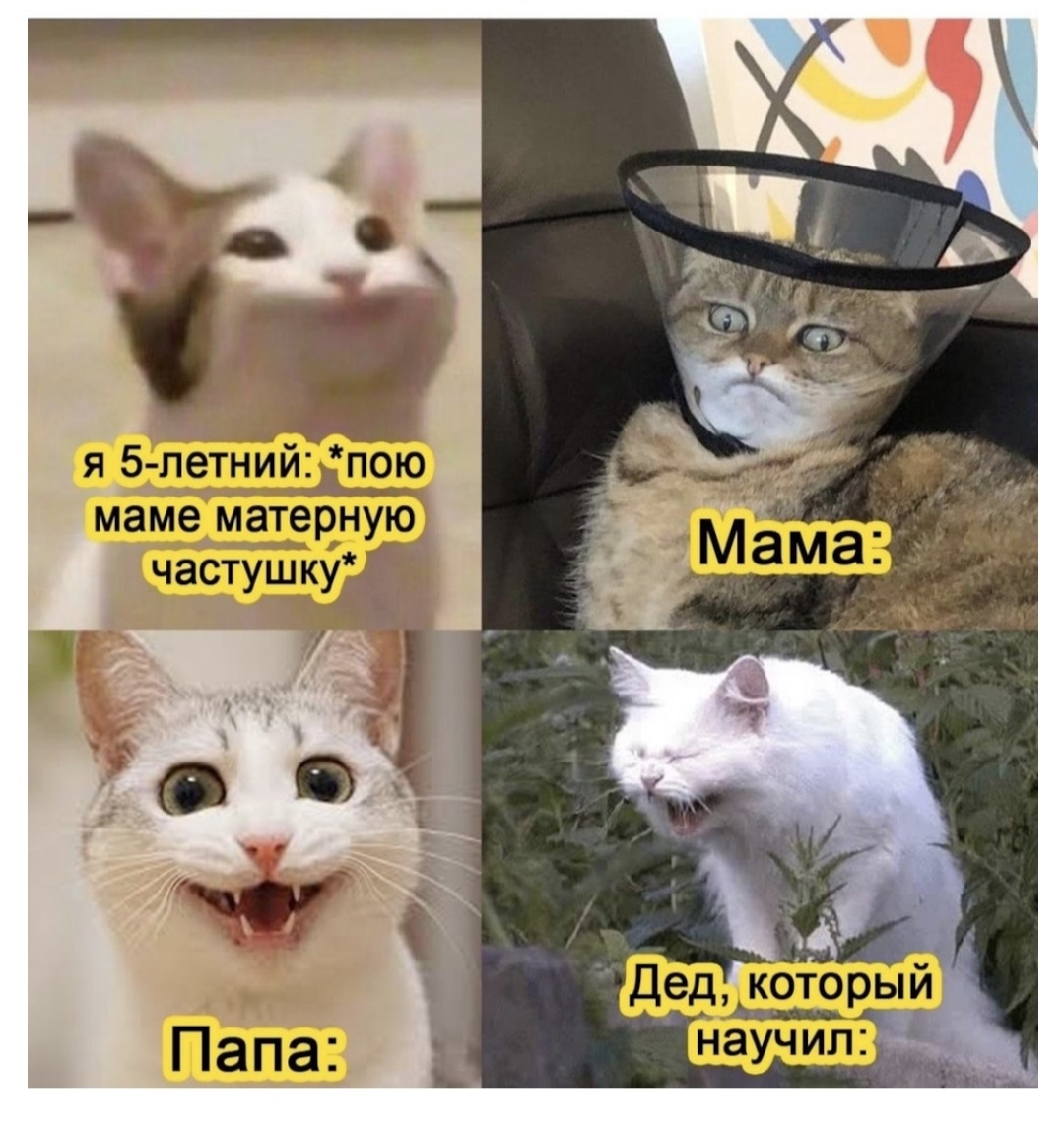 https://cs16.pikabu.ru/s/2025/05/17/20/qe7cimwe_lg.jpg