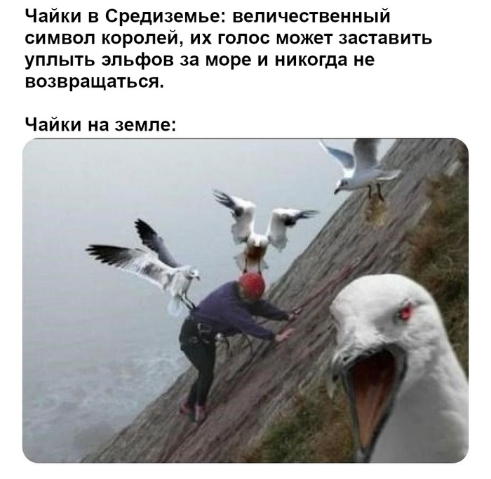    , , , ,   ,  ,  ()