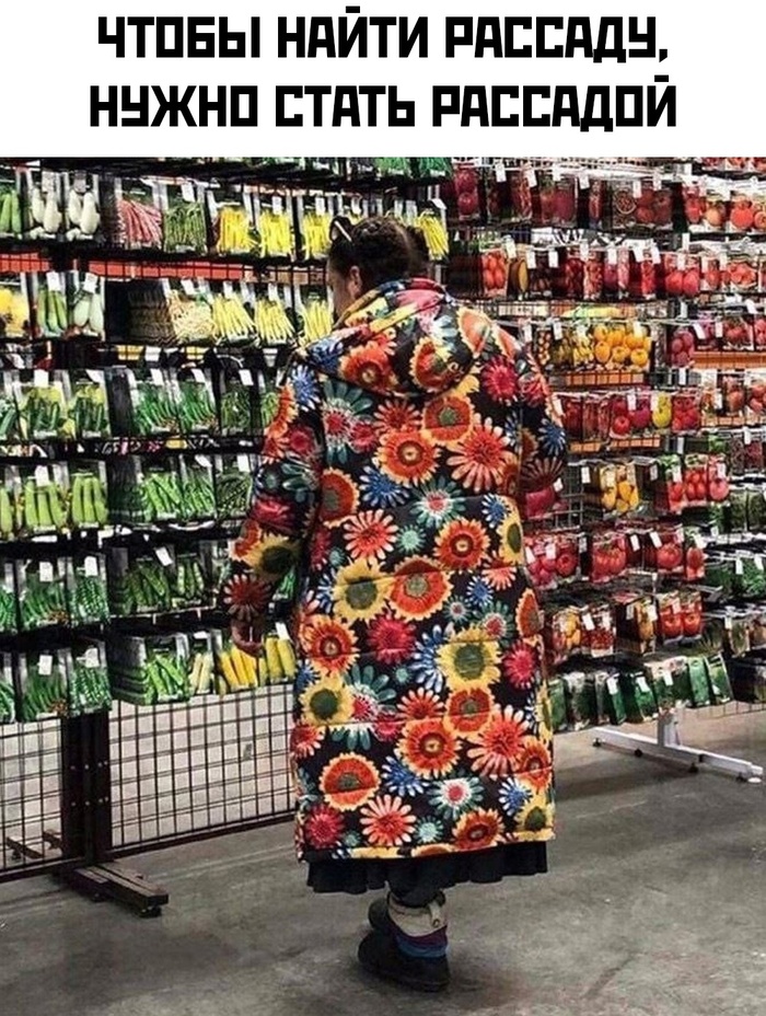             , , , , , ,  , , 