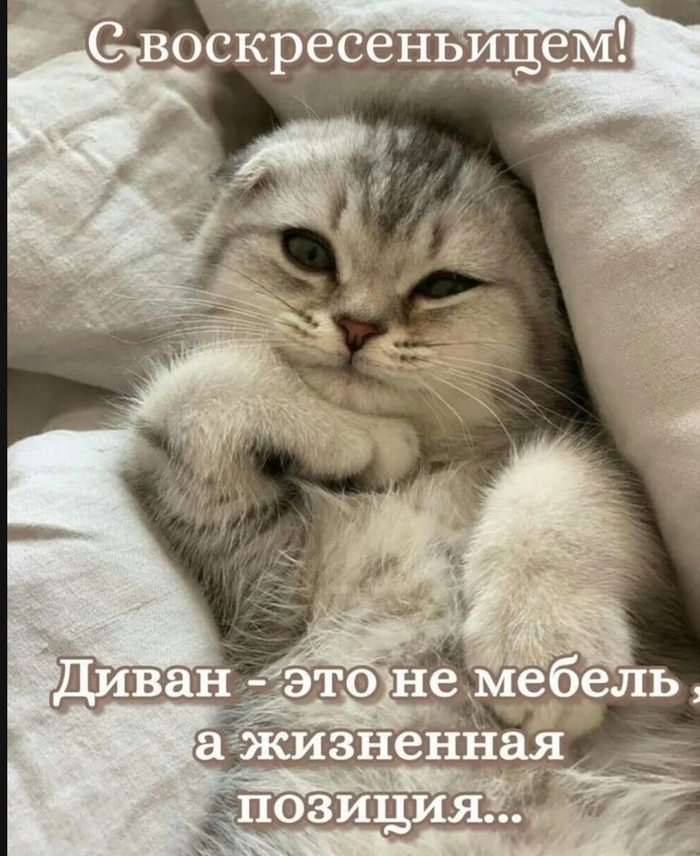 ) ,   , ,  , , 