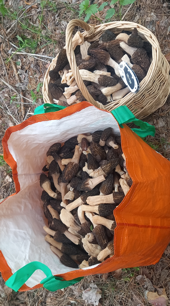 ����� ���� � � ������, �� ������� ����� ���� ���������.