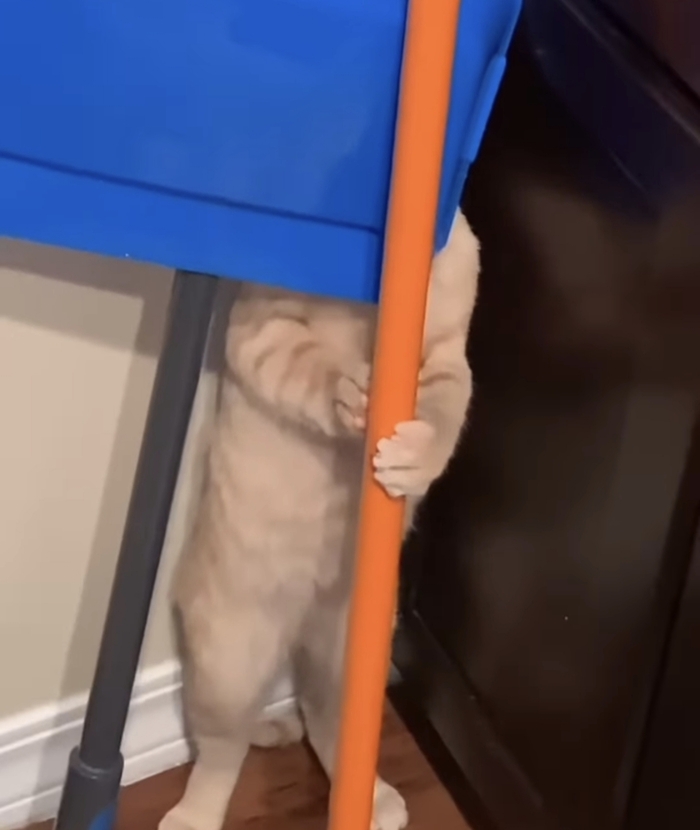   !   ! ,  , , , , , , , ,   , 