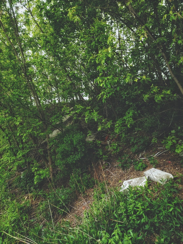    :       6    ,  ,  , , , , 