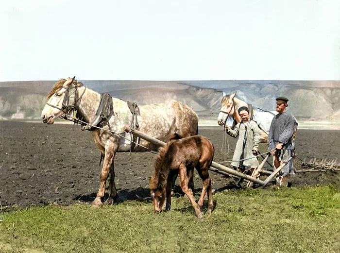 Подборка интересных и необычных фотографий Российской Империи. 20 раскрашенных фотографий. Часть XIII Историческое фото, 20 век, Старое фото, 19 век, Российская империя, История России, Фотография, Колоризация, Длиннопост