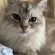 Аватар пользователя PerfectTatyana