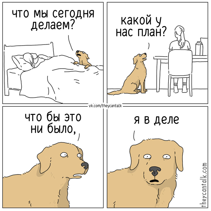 План