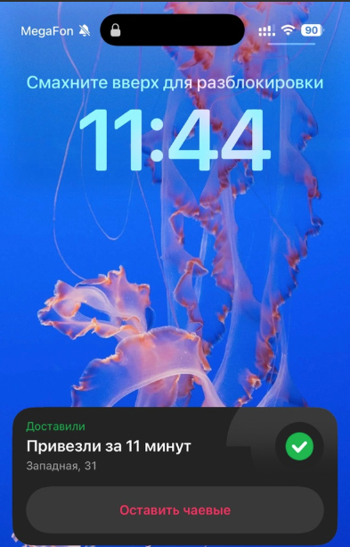      ,  ( ), , ,  , 