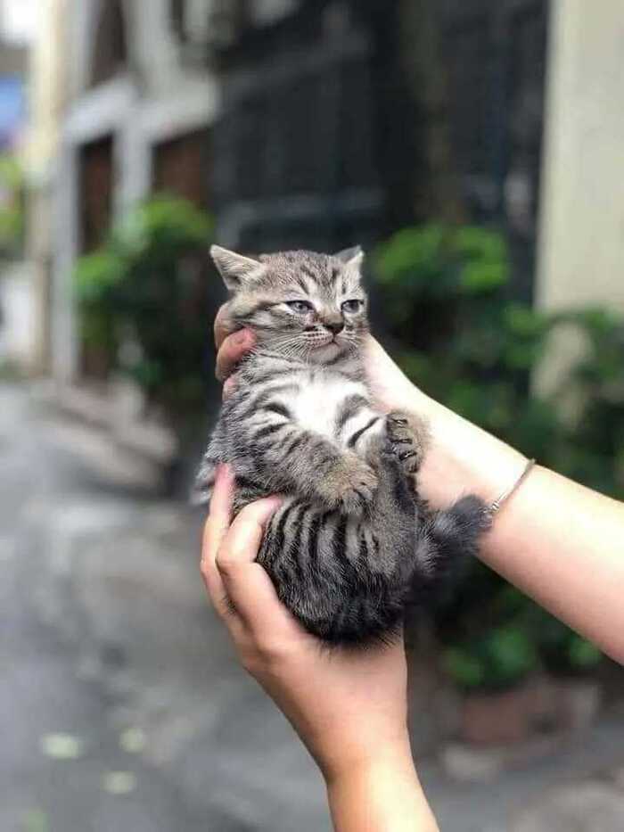 Когда этот мир уже абсолютно понятен