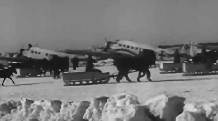 �������� "������". ��� ���������� ������� ������ ��� ������������ � 1943