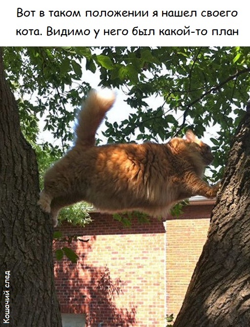 &quot;  ,    -     &quot;