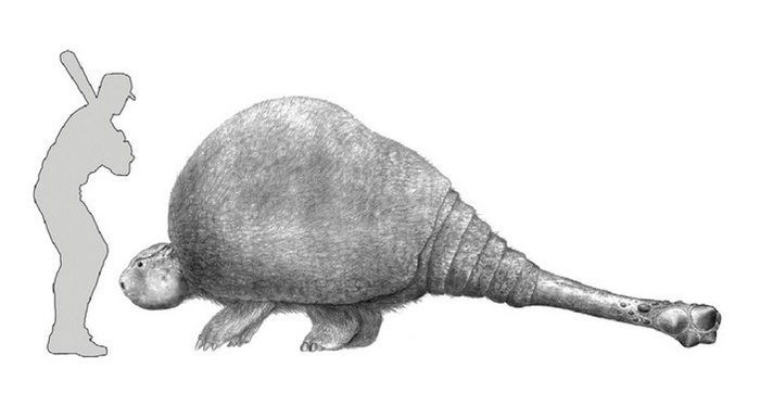 Если что: в нашей вселенной бить дедикурусов и любых других броненосцев битами запрещено.