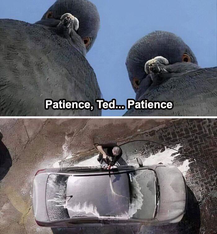 , ...  , , , ,   , 