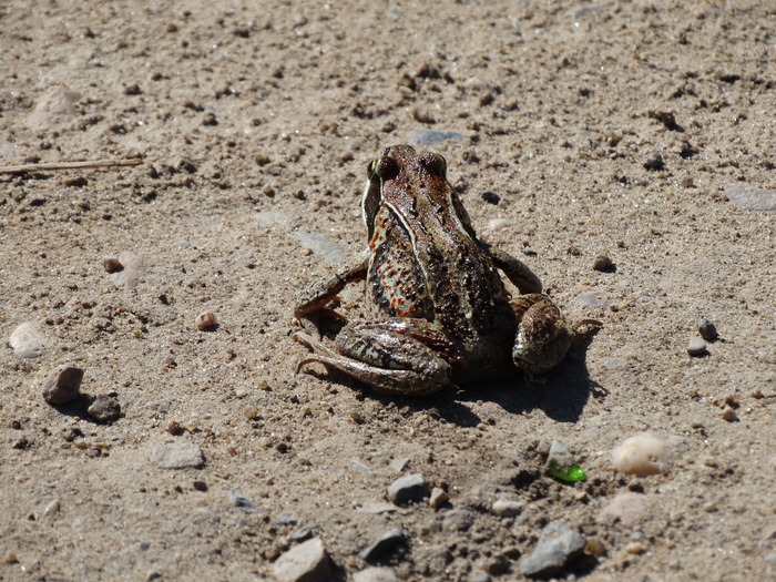 Отвернулась ☺️