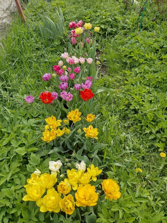 Этот май чародей...