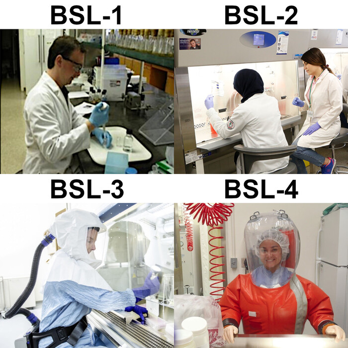         BSL
