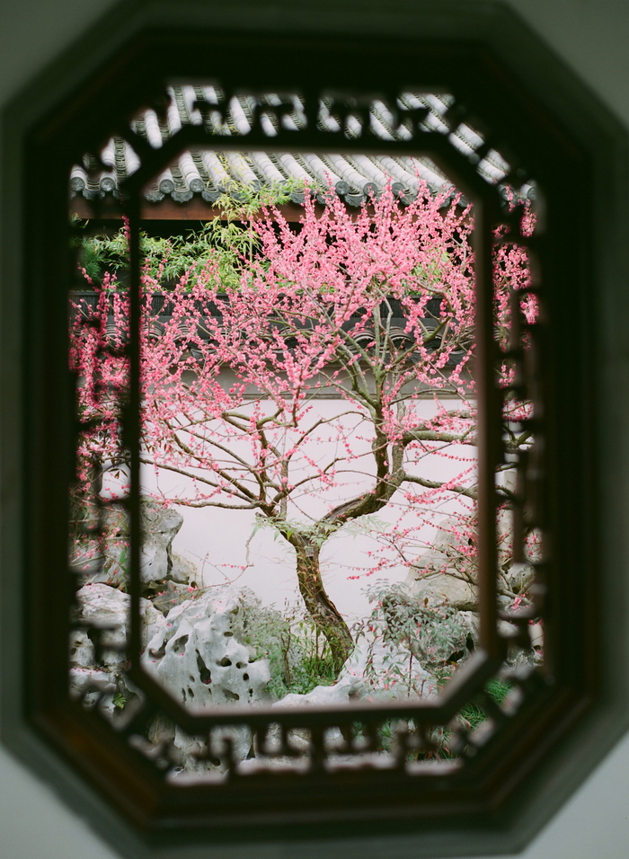 А из нашего окна... 80/1.9, Fuji Professional 160NS (просрочка)