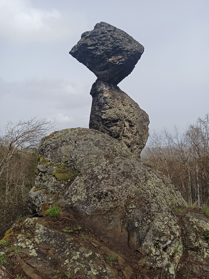 ����� ��������� (�������� ����). ����: ������� ������� 