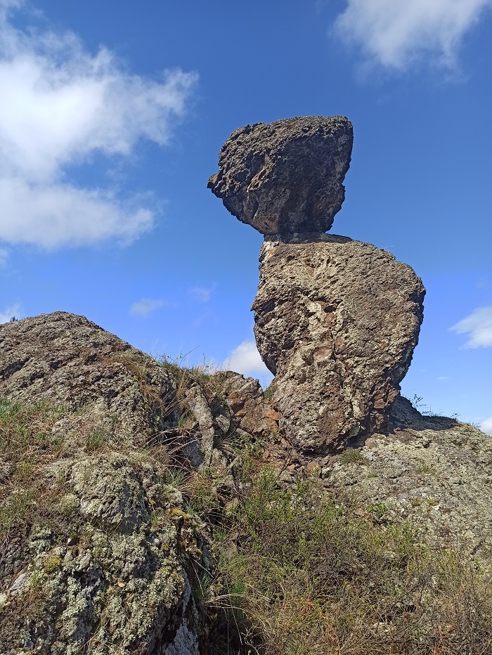 ����� ��������� (�������� ����). ����: ������� ������� 