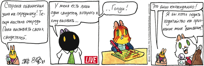 Котейкины Новости от 21.05.2025