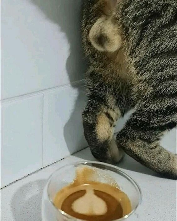 А вы думали как рисунки на кофе делают?)