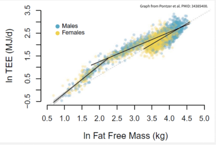  :  : In TEE (MJ/d) - (   (), /)); Males/Females (/);  : In Fat Free Mass (kg);    ();  :   Pontzer et. al. 34385400