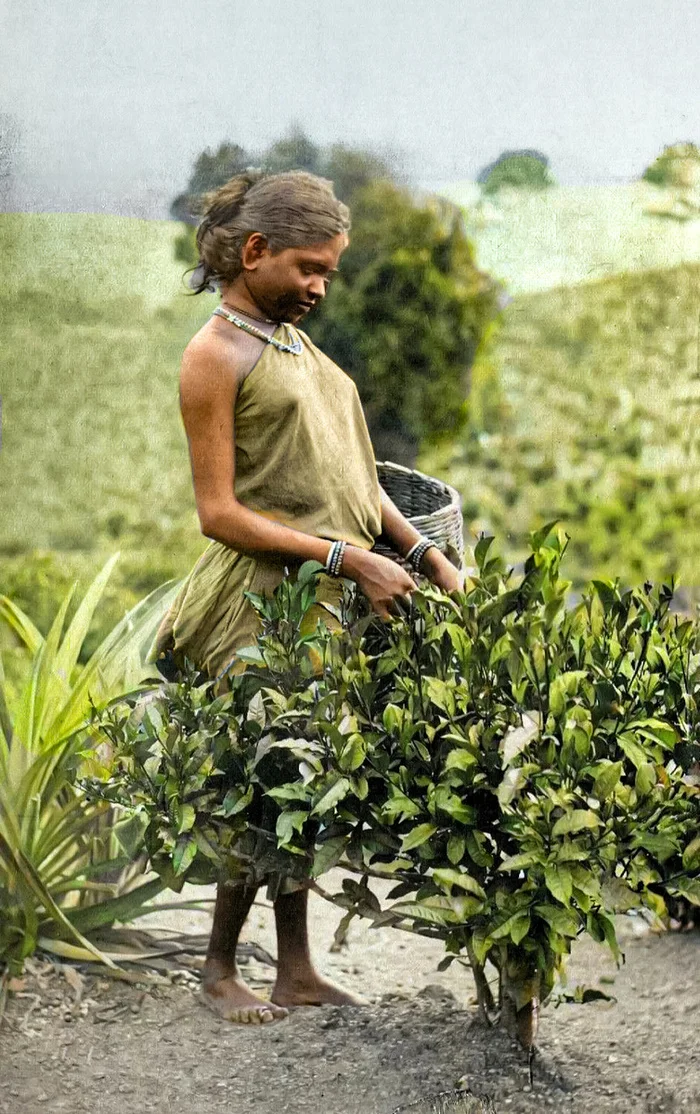 Уникальные исторические кадры, которые перенесут вас в прошлое. 20 раскрашенных фотографий из ХIX века. Часть VII Историческое фото, Старое фото, 19 век, Фотография, Колоризация, Длиннопост