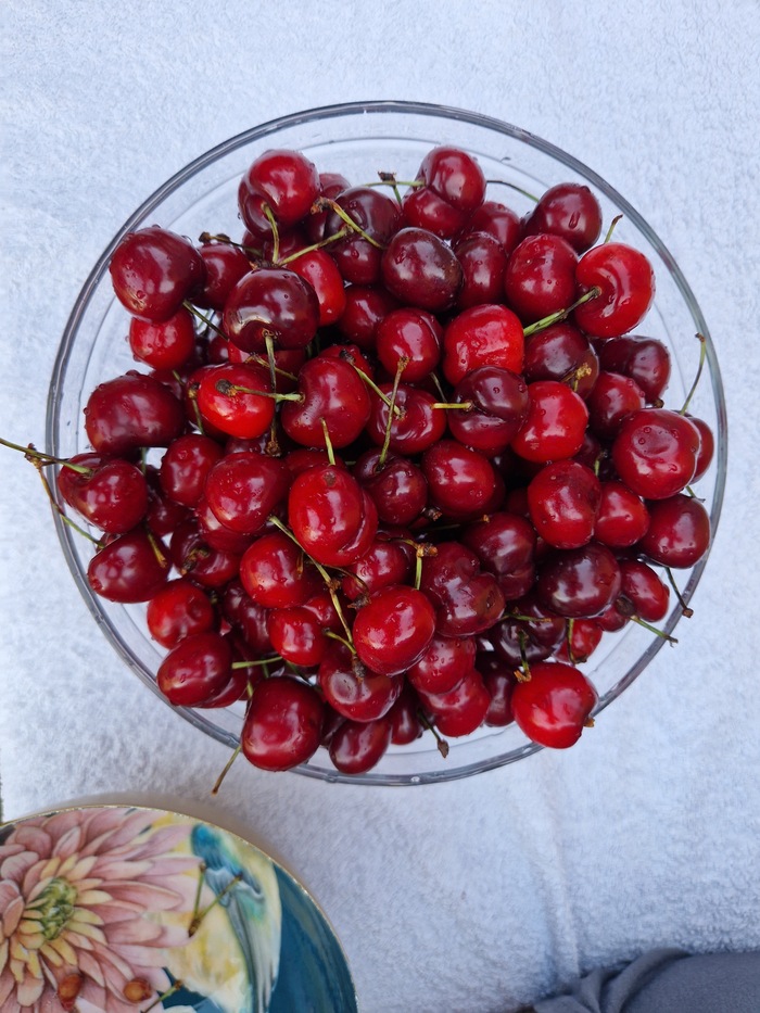     ! , , , ,   