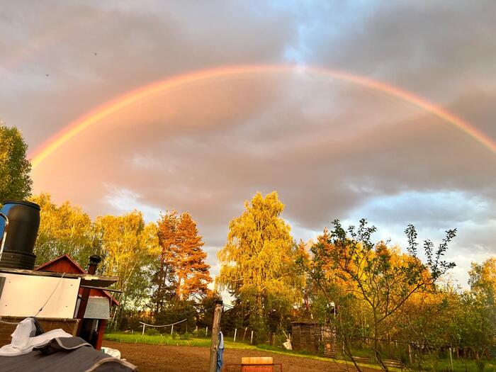Rainbow