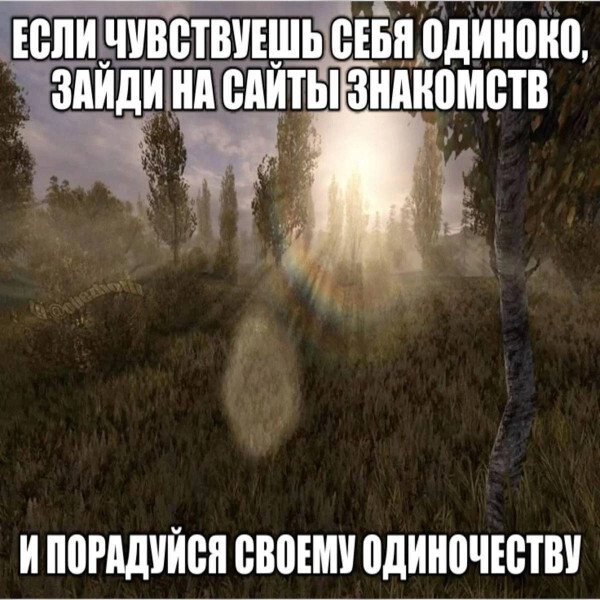 Знакомьтесь