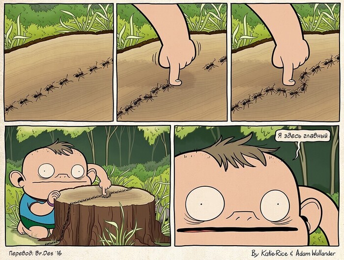 ����� WildKOT2022 � ����, �� �� ���� ���������?�