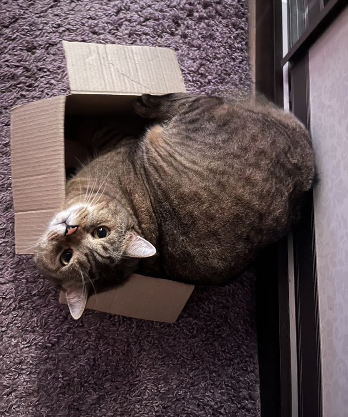 ��� �� ����������