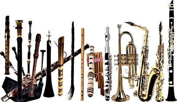 Не только по внешним очертаниям