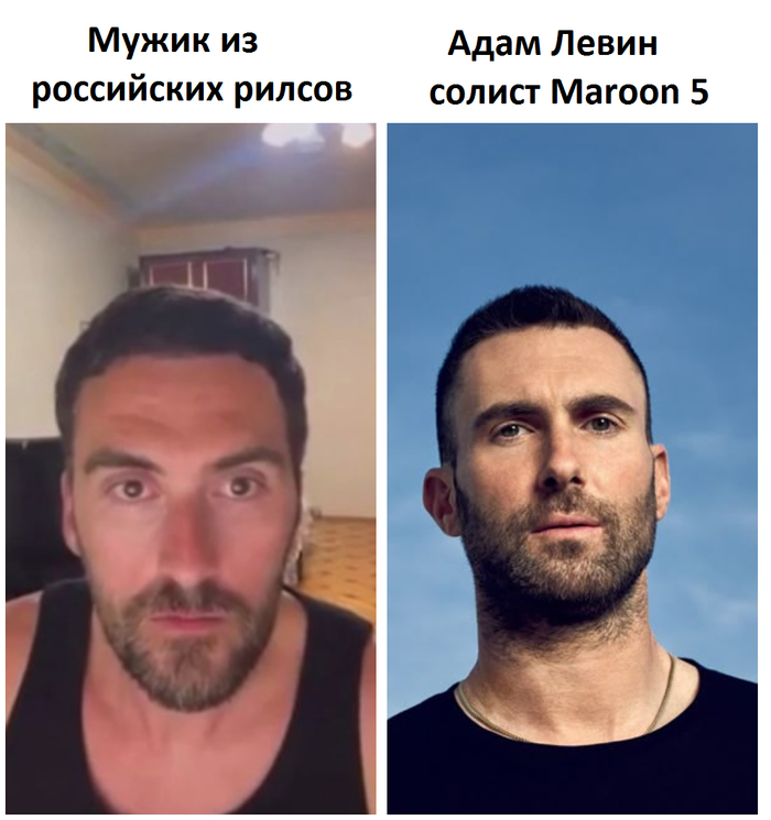         ? ,  , Maroon 5, , ,  ,   