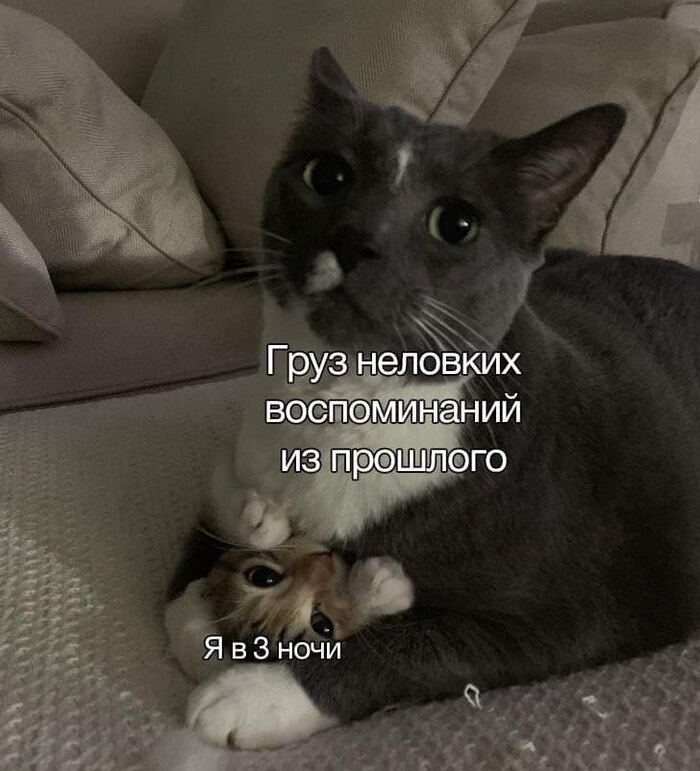   , ,   , , ,  , ,   , , , , , , ,  , , , Telegram ()