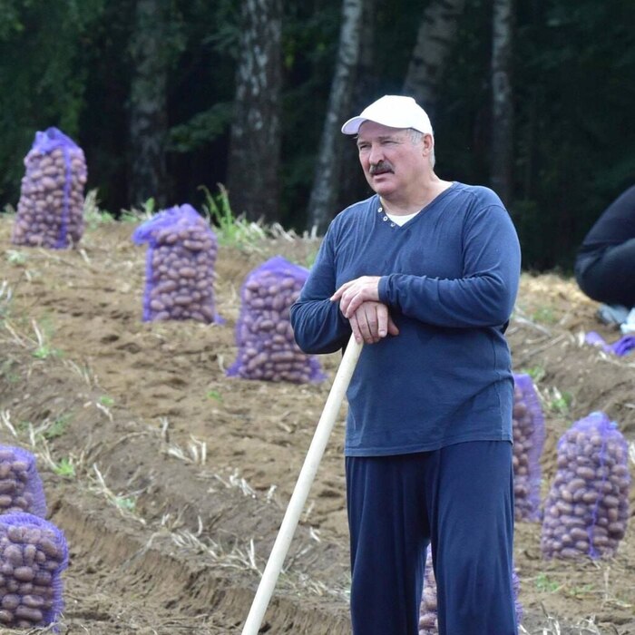 ������� �����...