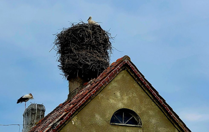 Какой-то странный у вас из трубы дым идет...