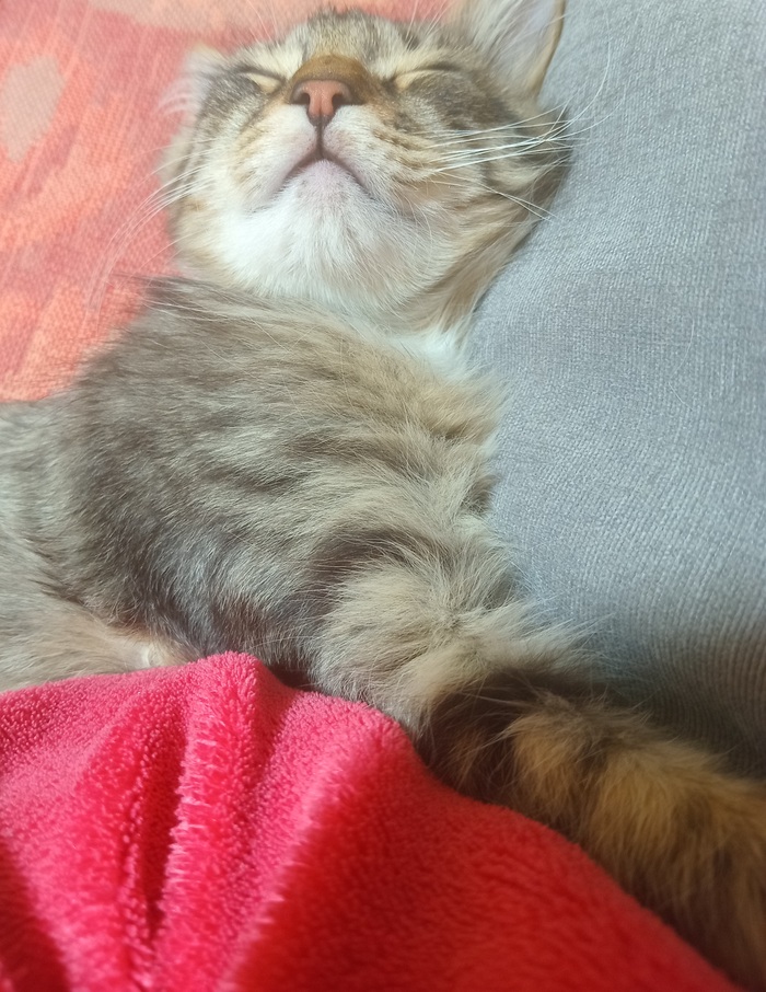    ? , , , ,  , ,  ,  , 