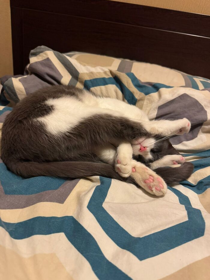 Послеобеденный сон