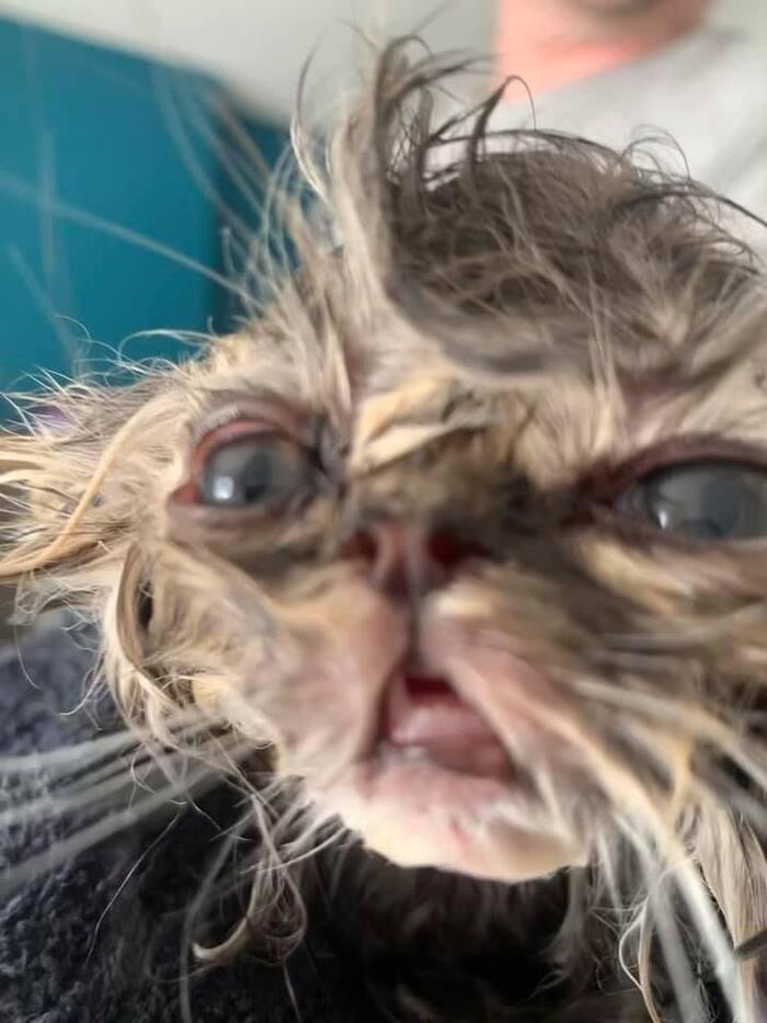  ,      ,  ,  , 