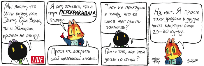 Котейкины Новости от 23.05.2025