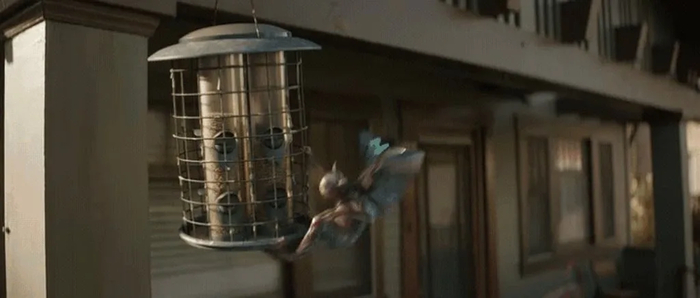 �����, �������� � �������������� �� ���������?