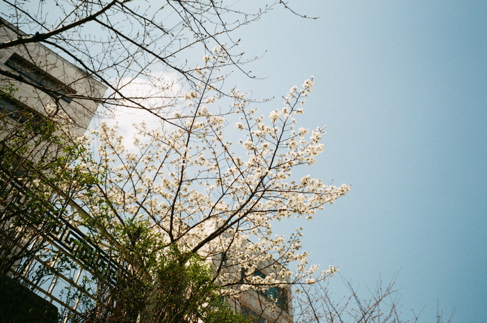 Fuji Industrial 100 (просрочка)