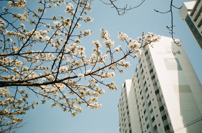 Fuji Industrial 100 (просрочка)